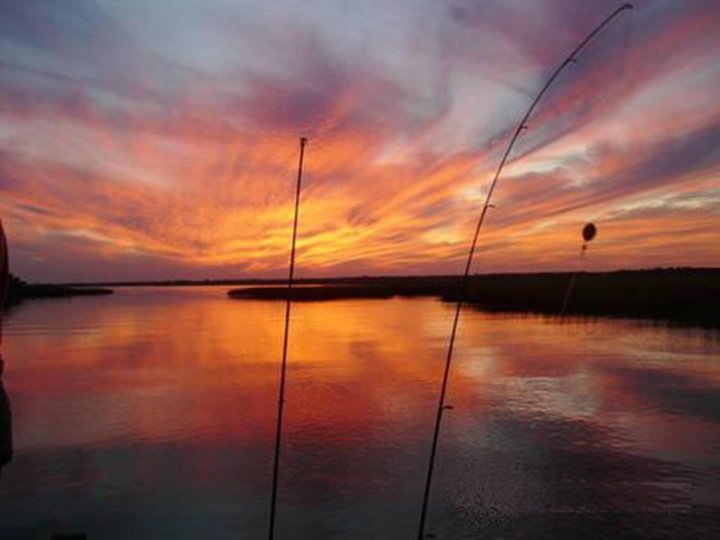Chase-N-Fins Charters tranquilo charters, fishing in costa rica