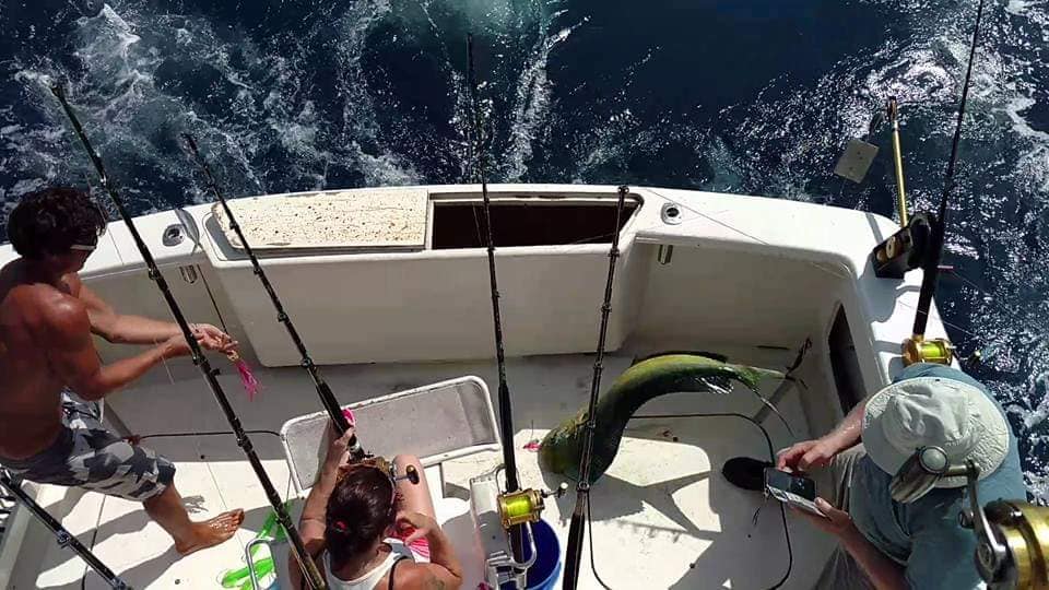 Chase-N-Fins Charters tranquilo charters, fishing in costa rica