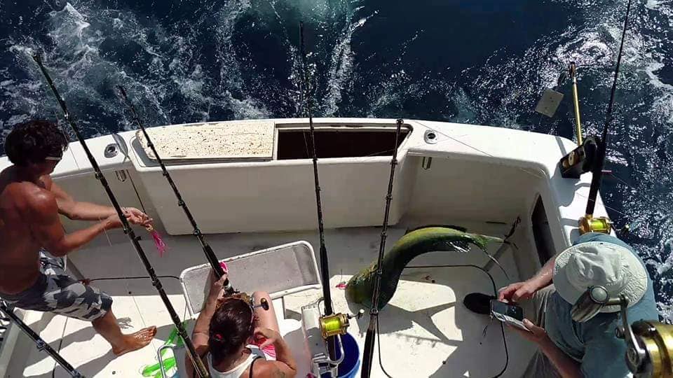 tranquilo charters, fishing in costa rica