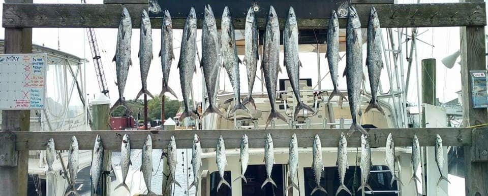 tranquilo charters, fishing in costa rica