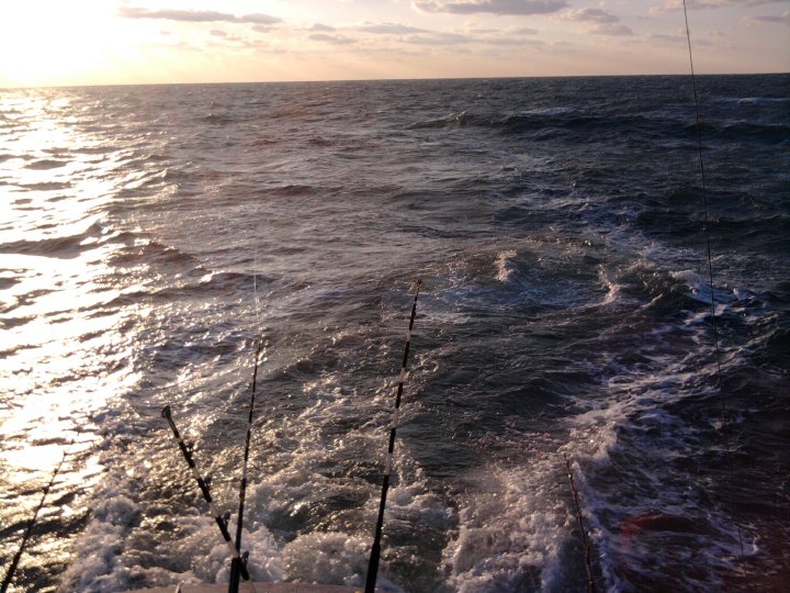 Chase-N-Fins Charters tranquilo charters, fishing in costa rica